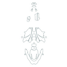 2019-2023 BMW R1250 GS Triple Black 3M Pro Series Clear Bra Complete Paint Protection Film Kit