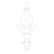 2024-2026 Hypermotard 698 Mono, Mono RVE 3M Pro Series Clear Bra Complete Kit Paint Protection Film Kit